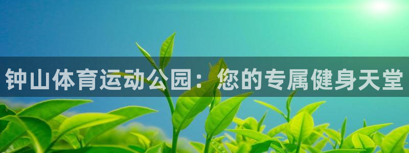 JJB竞技宝官网下载平台注册流程图:钟山体育运动公园:您的专