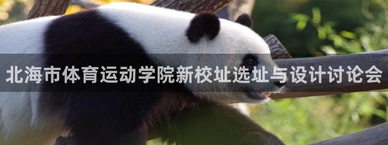 JJB竞技宝官网下载平台是正规平台吗安全吗:北海市体育运动学